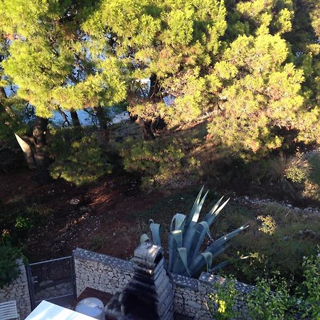 Apartments Marta 罗戈兹尼察 客房 照片
